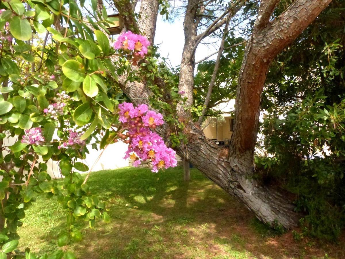 La Quietude De St Antoine - Piscine Privee Villa LʼIsle-sur-la-Sorgue Eksteriør bilde